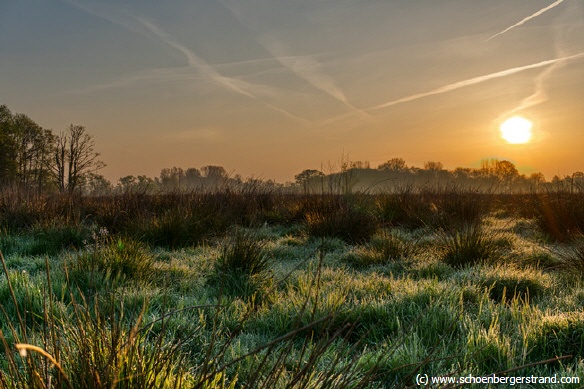 Sonnenaufgang Brokauwiese Schönberg