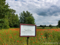 Pavillon Probsteier Naturverein